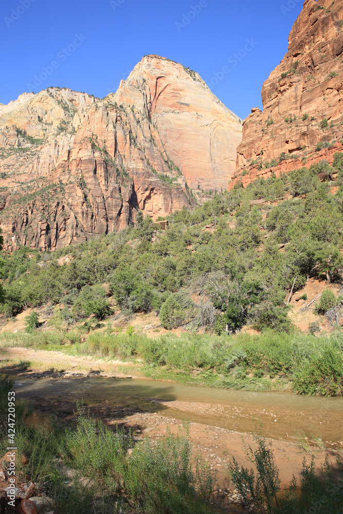 Virgin River in Zion Canyon, Zion National Park in Utah, USA