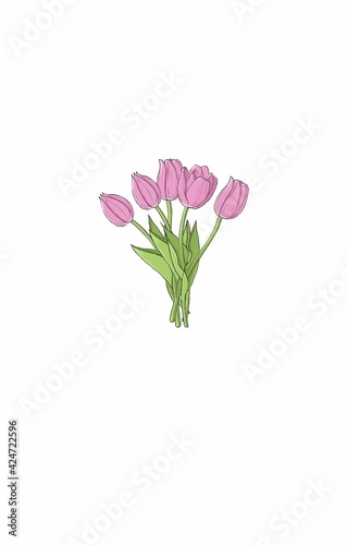 Pink tulip sketch illustration. Womens day 