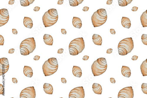 Seamless pattern of brown seashells isolated on white surface