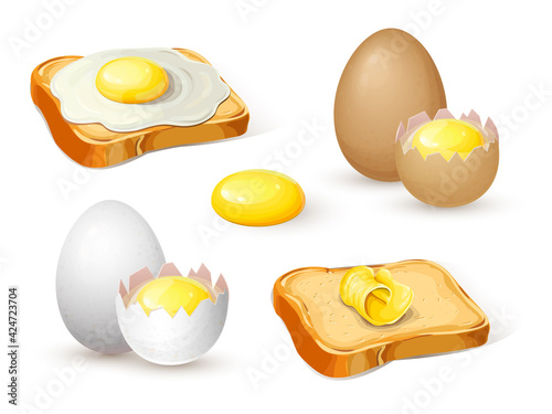 fried eggs on bread, toast with butter, whole hard boiled egg and half with soft boiled yolk for breakfast isolated on white. healthy nutrition realistic illustration. toast with sunny side up eggs.