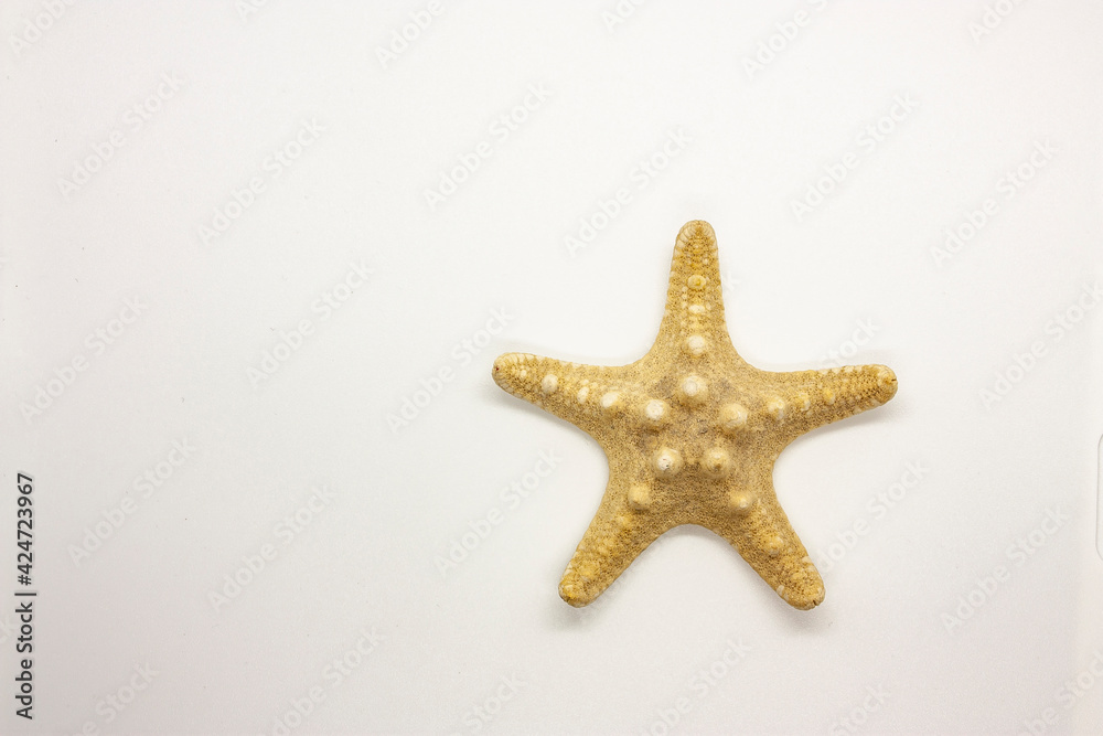 Horizontal close-up photography from above of an isolated souvenir five arms dried yellow starfish on the white background Horizontal close-up photography from above of an isolated souvenir five arms dried yellow starfish on the white background
