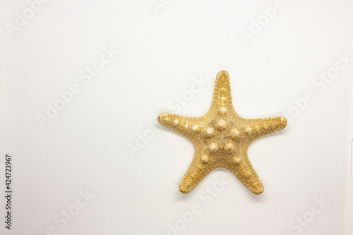 Horizontal close-up photography from above of an isolated souvenir five arms dried yellow starfish on the white background
