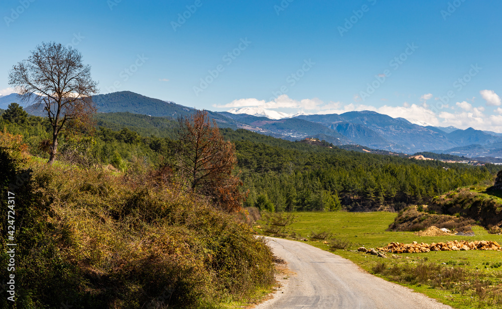 Hills with forest and mountain range on horizon.