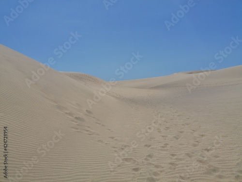 Maspalomas dunes  the desert in Gran Canaria 