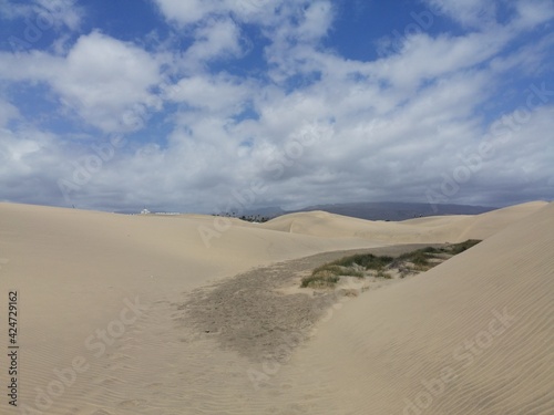 Maspalomas dunes  the desert in Gran Canaria 