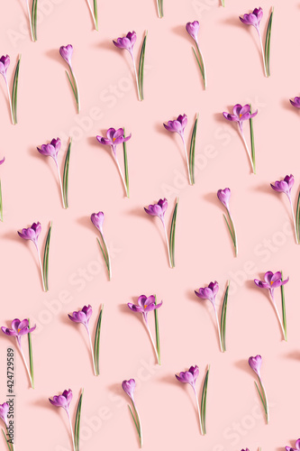 Pattern from crocus flowers