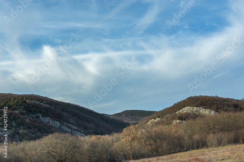 Blue sky trees without leaves. A spring landscape with a low horizon line, a beautiful sky with white clouds. The concept of solitude, solitude, tranquility. Restrained natural background. Copy space