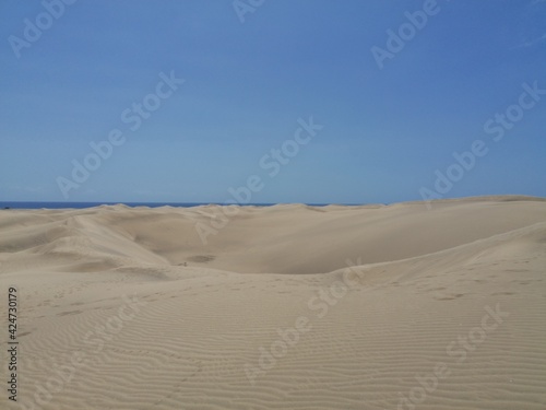 Maspalomas dunes  the desert in Gran Canaria. 