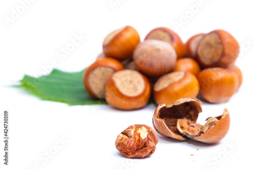 open natural hazelnut isolated on white background