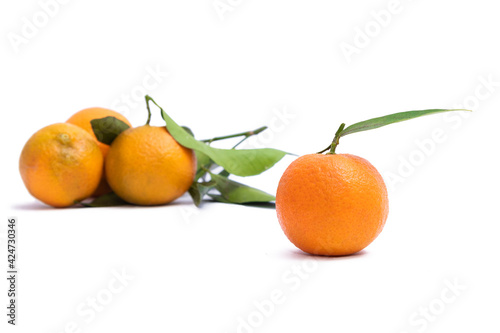 mandarin oranges isolated on white background