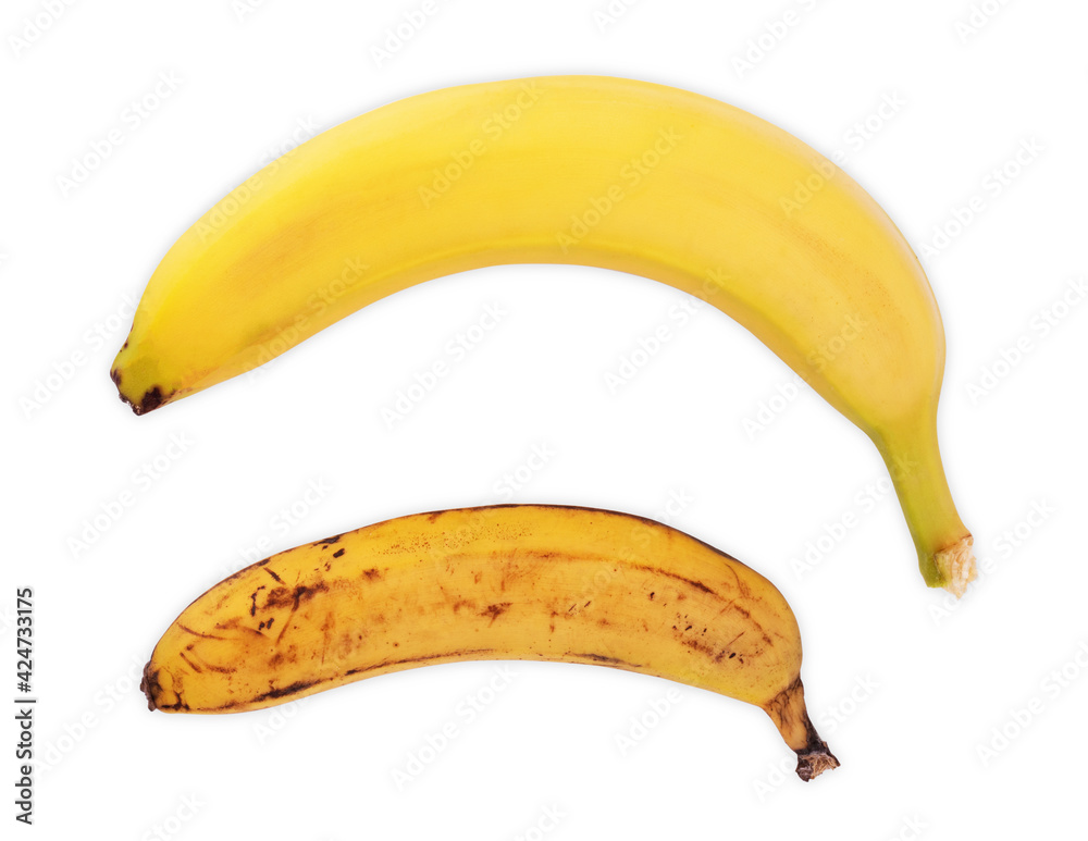 Conceptual image of half ripe banana bunch showing different stages Conceptual image of half ripe banana bunch showing different stages