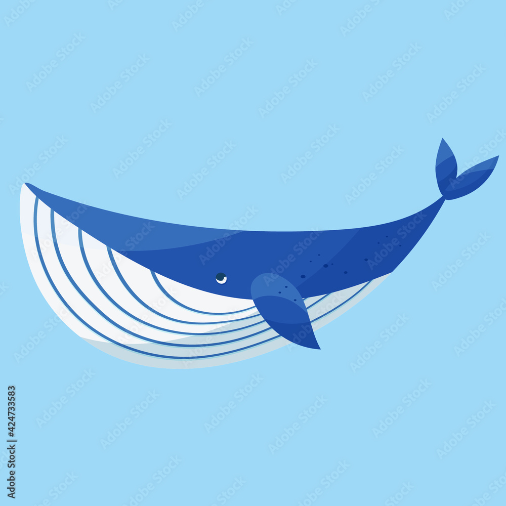 Obraz premium Vector handdrawn sea mammal blue big cartoon cute whale 