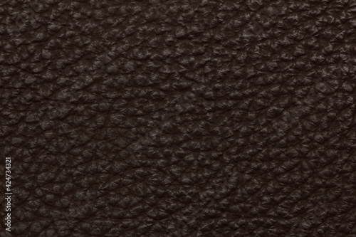 Wallpaper Mural black leather texture Torontodigital.ca