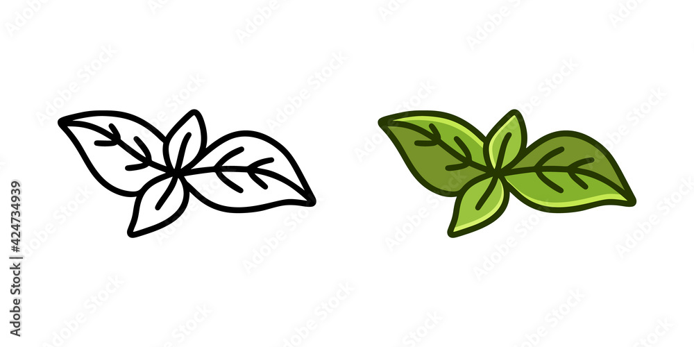 Basil leaves doodle icon. Linear and color version. Black simple illustration of fresh spice or green plant. Contour isolated vector pictogram on white background