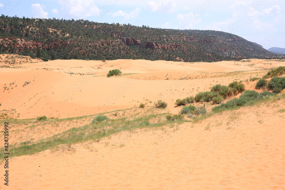 Coral Pink Sand Dunes State Park in Utah, USA Coral Pink Sand Dunes State Park in Utah, USA