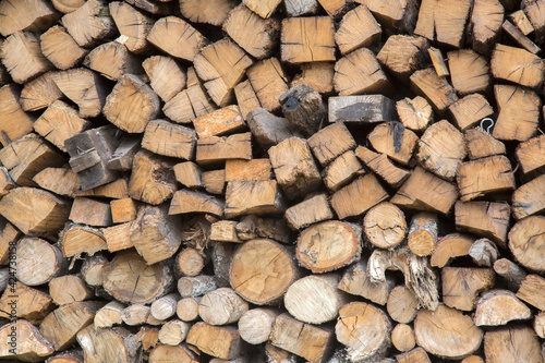 Pile of Logs in Barcena Mayor  Cantabria
