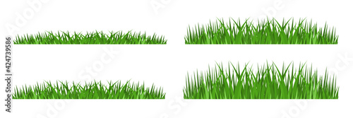 Grass borders plant, Vector Illustration