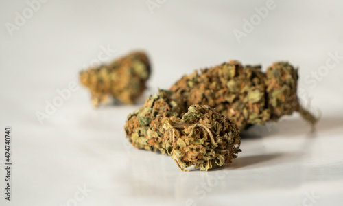 Legal, dry cannabis cbd marijuana for health and private use in the isolated bright studio. 