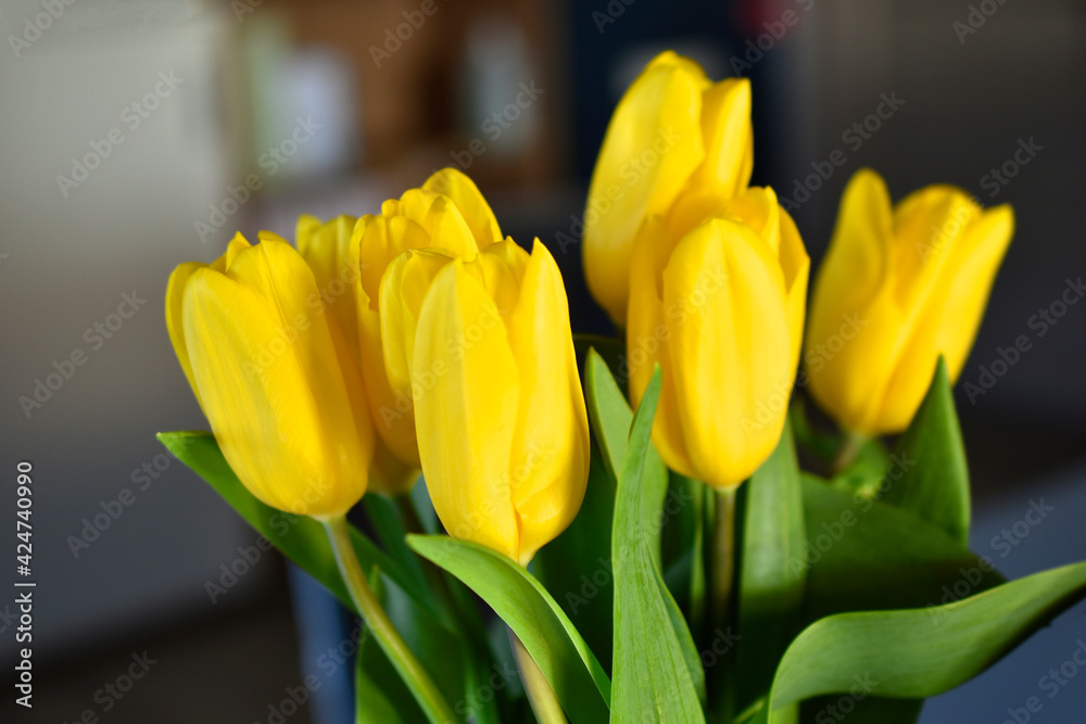 Yellow tulip flowers close-up in the office Yellow tulip flowers close-up in the office