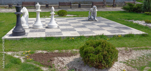 Garden sculpture. Large Chess.