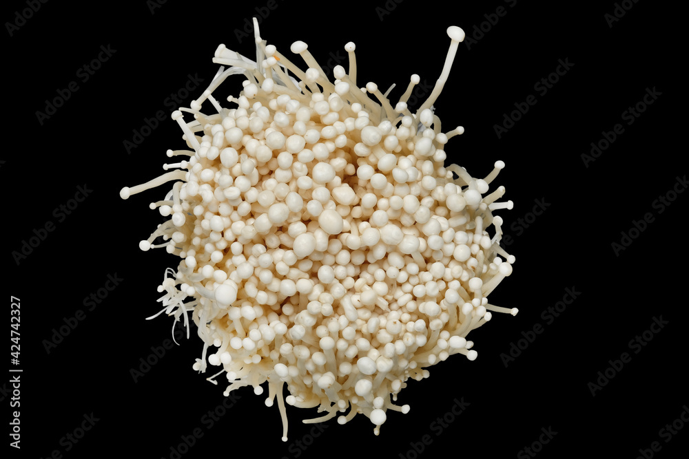 Enoki mushrooms isolated on black with clipping path. Enoki mushrooms isolated on black with clipping path.