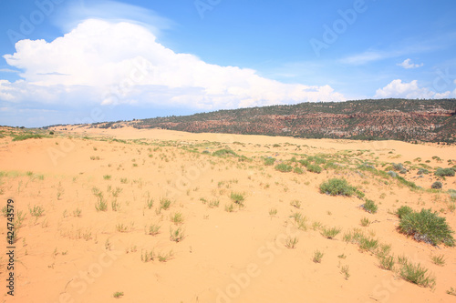 Coral Pink Sand Dunes State Park in Utah  USA