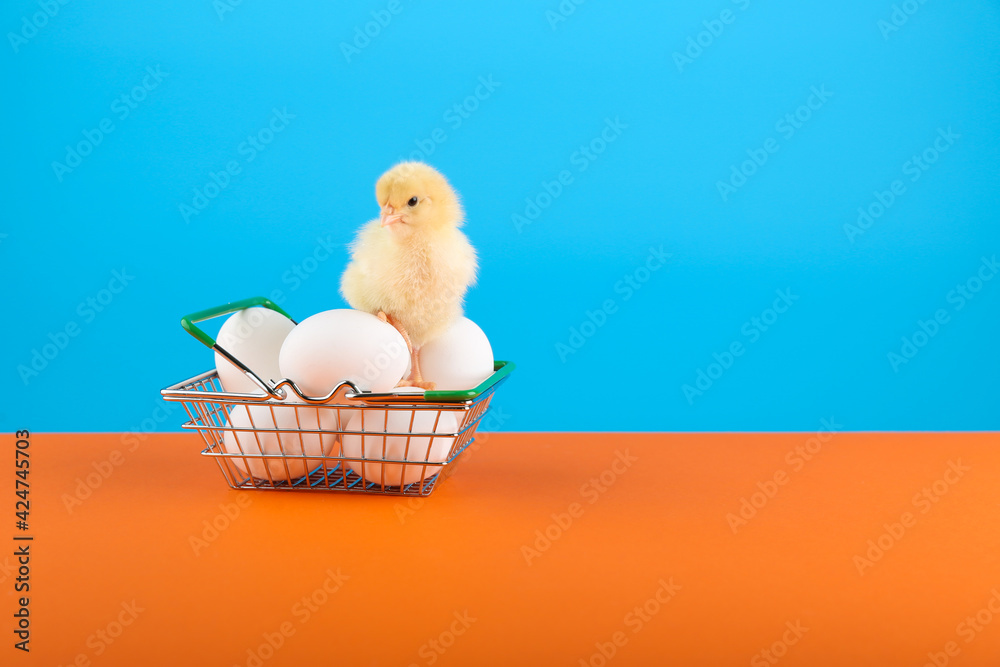 chick and supermarket basket with eggs are on color background chick and supermarket basket with eggs are on color background
