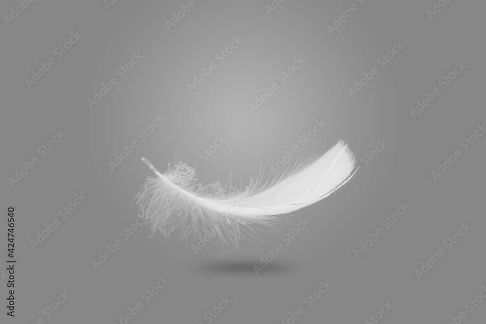 Soft and Light Single White Feather Falling in the Air.