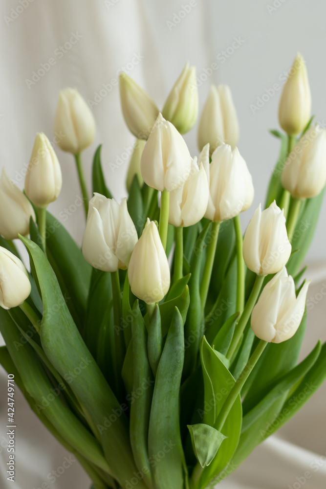bouquet of white tulips bouquet of white tulips