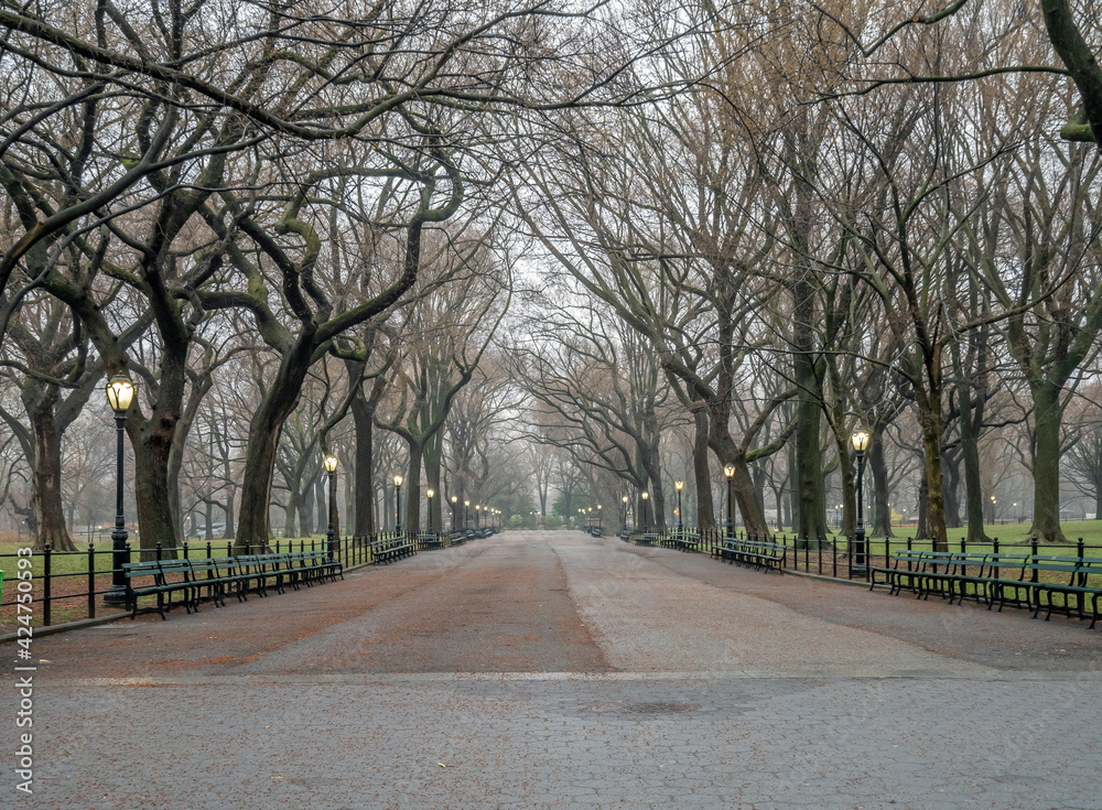 Obraz premium Central Park the Mall