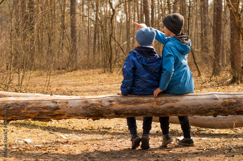 Children sit on a fallen tree in the woods and talk. Children sit on a fallen tree in the woods and talk.