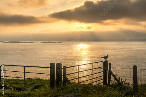 Beautiful sunset landscape beauiful view Ireland seascape clouds sun Dunquin Ring of Dingle photo