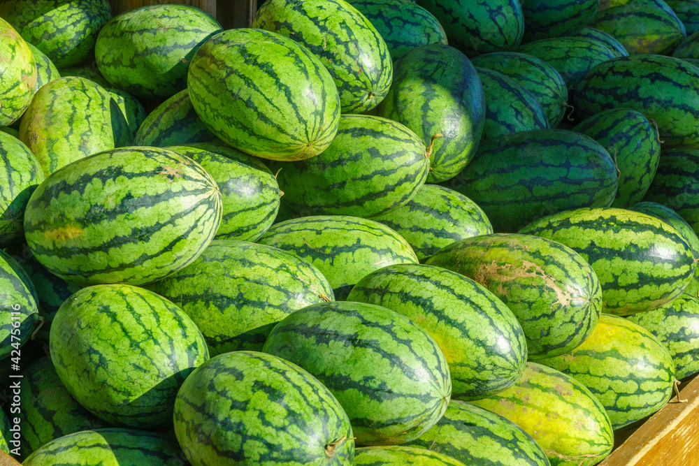 Watermelons on sale in the Jean-Talon Market Market, Montreal Watermelons on sale in the Jean-Talon Market Market, Montreal