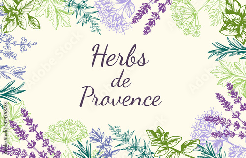 Background with Provencal spices and herbs. photo