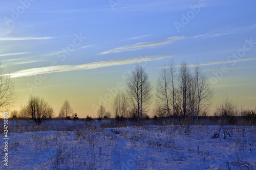 Winter field in the light of the setting sun