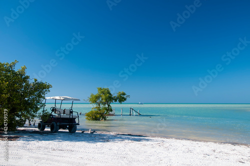 Fototapeta Naklejka Na Ścianę i Meble -  A Golf car in a deserted tropical white sandy beach near a small tree in Holbox Mexico Island. In the background the blue sky and the Caribbean ocean. Transport and tourism concept