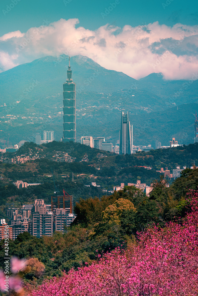 Obraz premium Sunrise landscape of beautiful cherry blossom with Taipei cityscape in spring, Taiwan