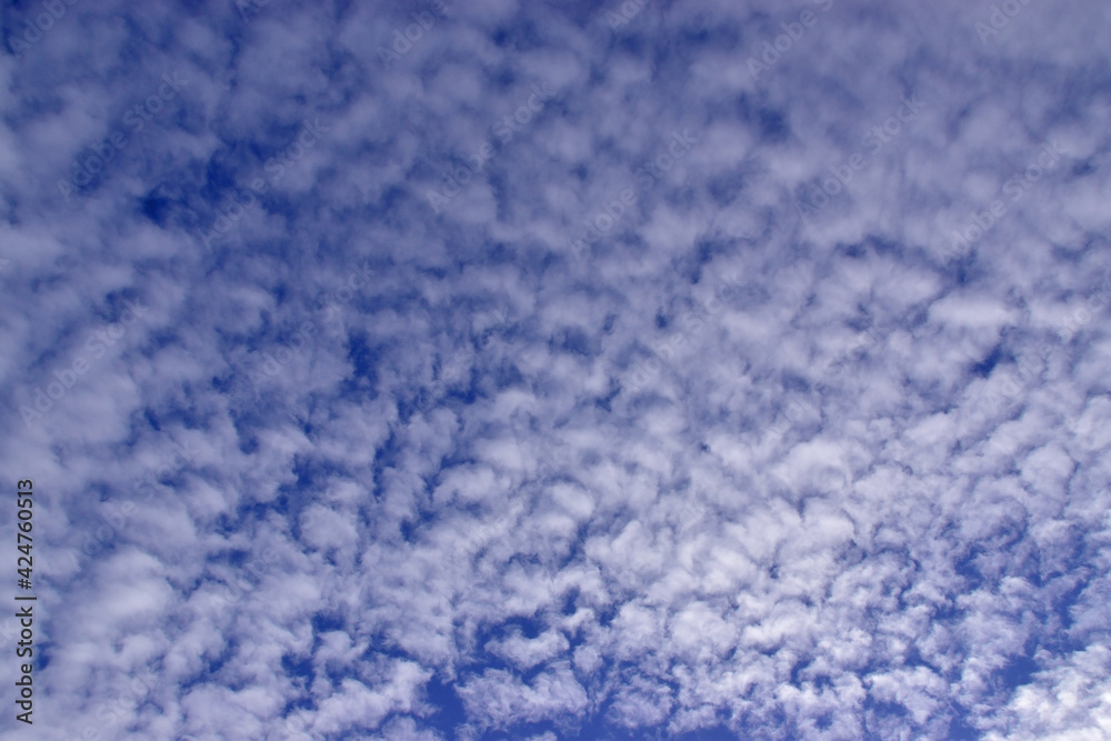 Obraz premium Cirrostratus clouds in the blue spring sky.