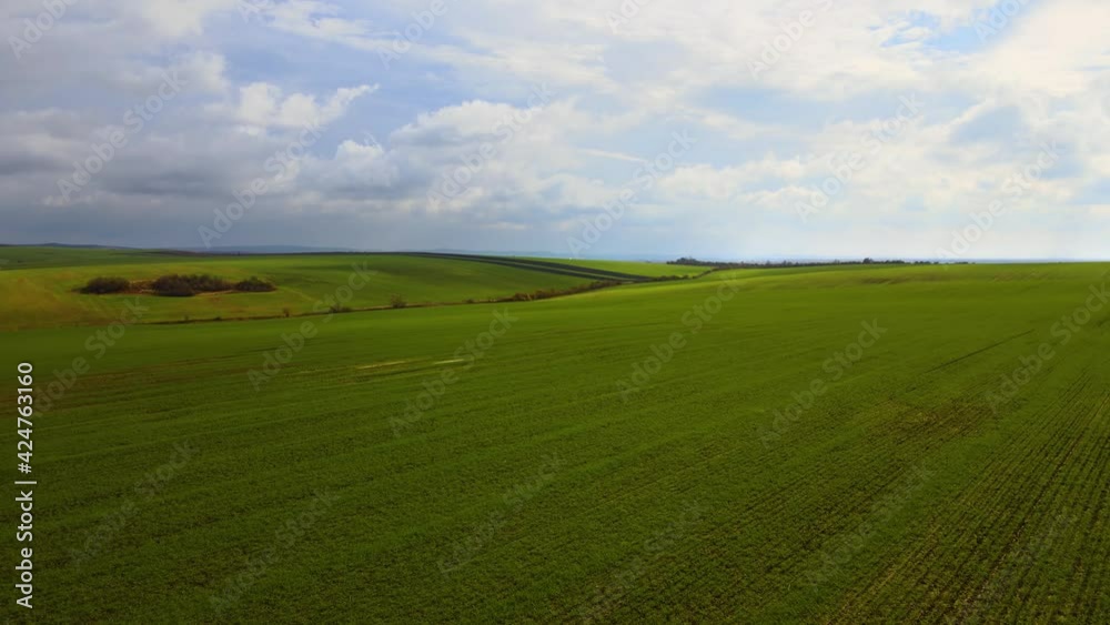 Aerial view of bright green agricultural field in early spring. Aerial view of bright green agricultural field in early spring.