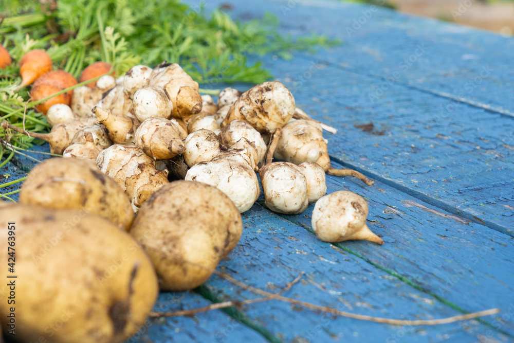 Freshly collected vegetables on the table. Freshly collected vegetables on the table.
