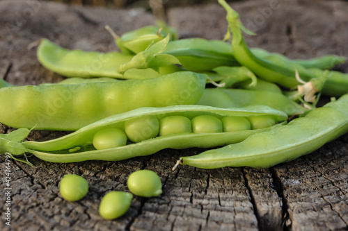 Fresh pods of sweet green peas as natural food summer harvest background. Healthy eating, lifestyle.