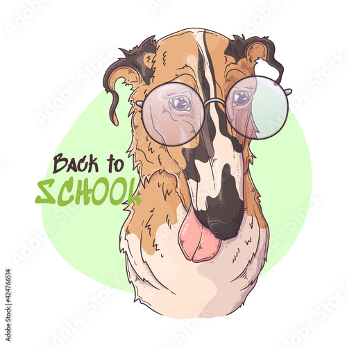 Hand drawn Borzoi dog portrait with accessories Vector. Isolated objects for your design. Each object can be changed and moved.