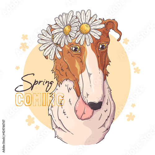 Hand drawn Borzoi dog with flowers Vector. Isolated objects for your design. Each object can be changed and moved.