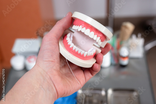 Mock up jaw with teeth holds in hand