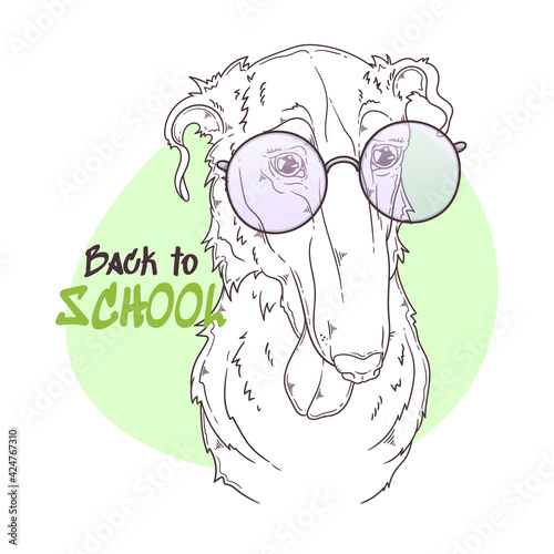 Hand drawn Borzoi dog portrait with accessories Vector. Isolated objects for your design. Each object can be changed and moved.