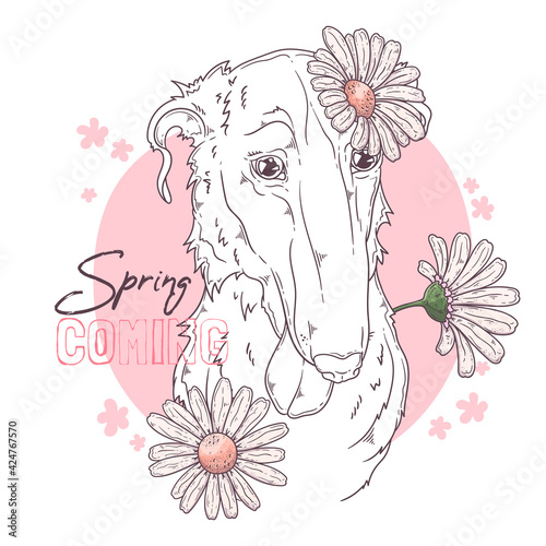 Hand drawn Borzoi dog with flowers Vector. Isolated objects for your design. Each object can be changed and moved.