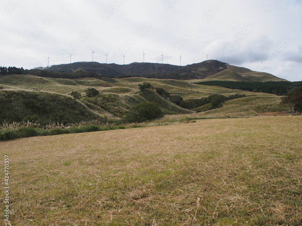 Obraz premium 東伊豆 細野高原