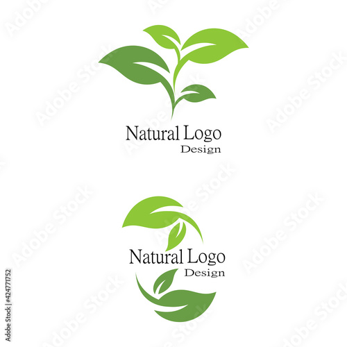 Leaf icon Vector Illustration design Logo template