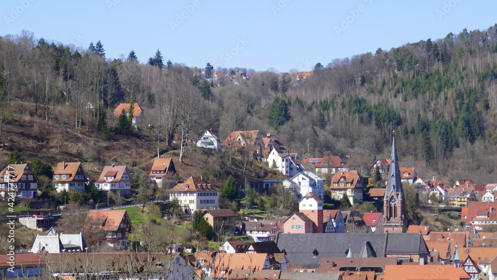 Panoramablick auf Calw mit Stadtkirche und dem Langen, Nordschwarzwald