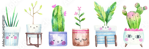 set of home plants, succulents, house tree, cacti in a flowerpot with eyes, cute illustration